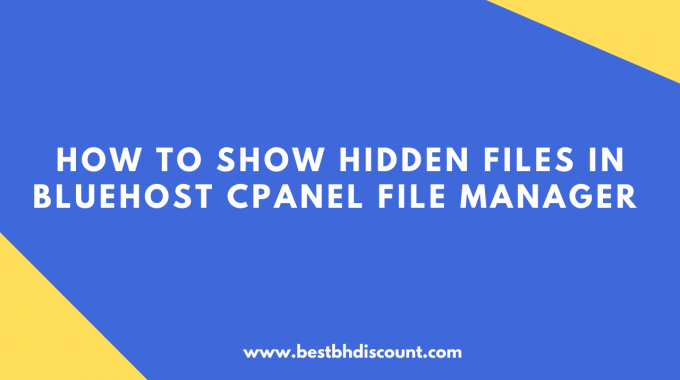 How to show hidden Files in Bluehost cPanel File Manager [Fixed]